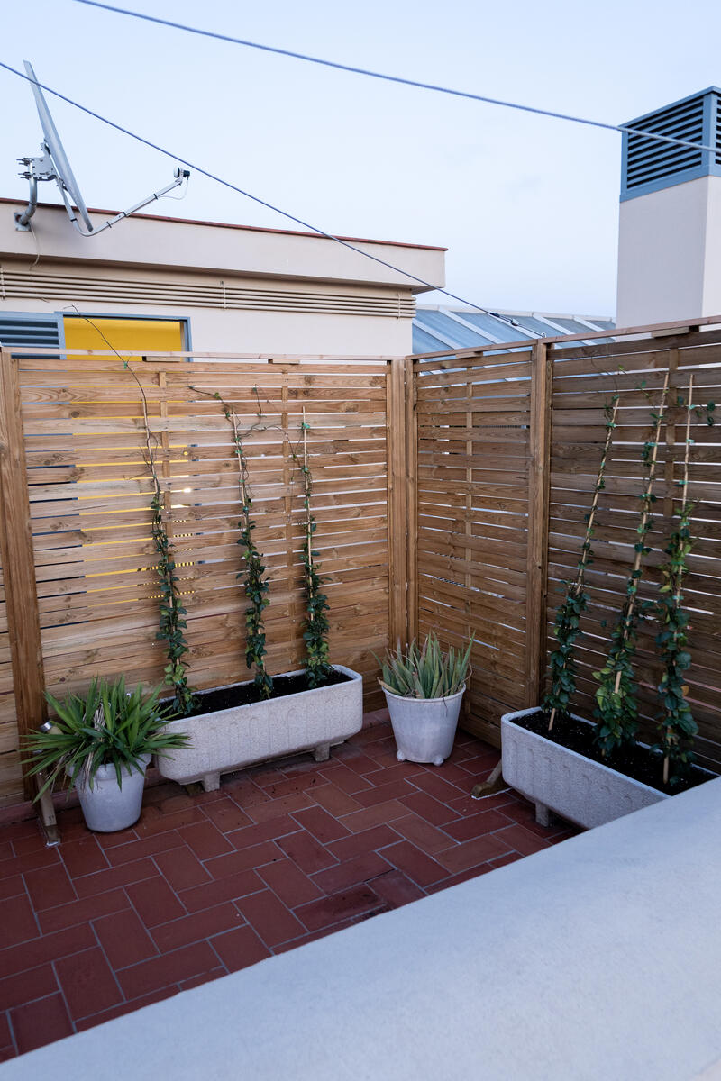 Terraza con cerramiento de madera y plantas